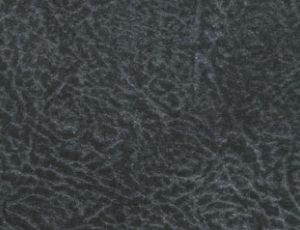 Percept Black